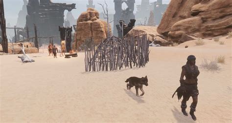 conan exiles best combat pet.